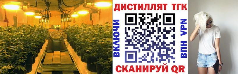ТГК гашишное масло  Новая Ляля 