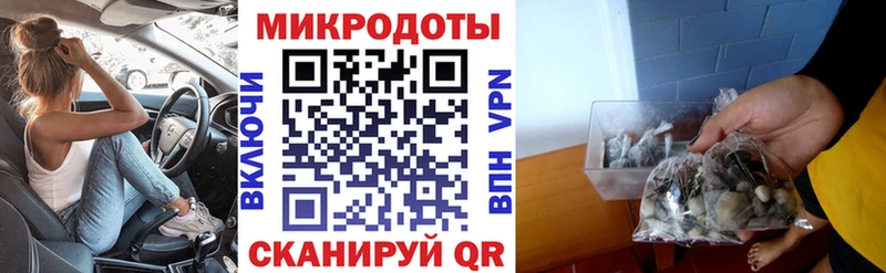 наркошоп  Новая Ляля  Псилоцибиновые грибы Psilocybe 